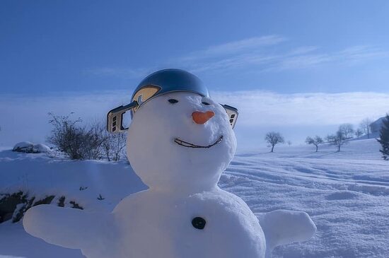 Gulrotsorten «Karlena» – sen vintergulrotsort, gulrotfrø